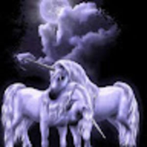 Meet your Posher, Rony fernardo